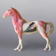 Akupunkturní model - kůň