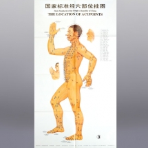 Akupunkturní dráhy - plakáty